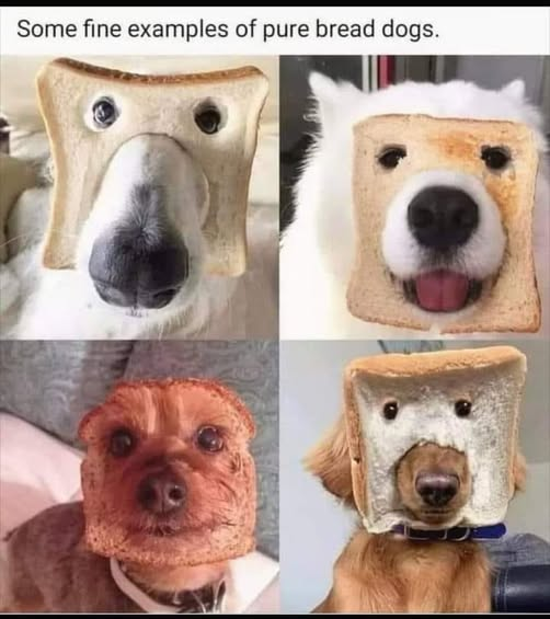 1761137827748.png