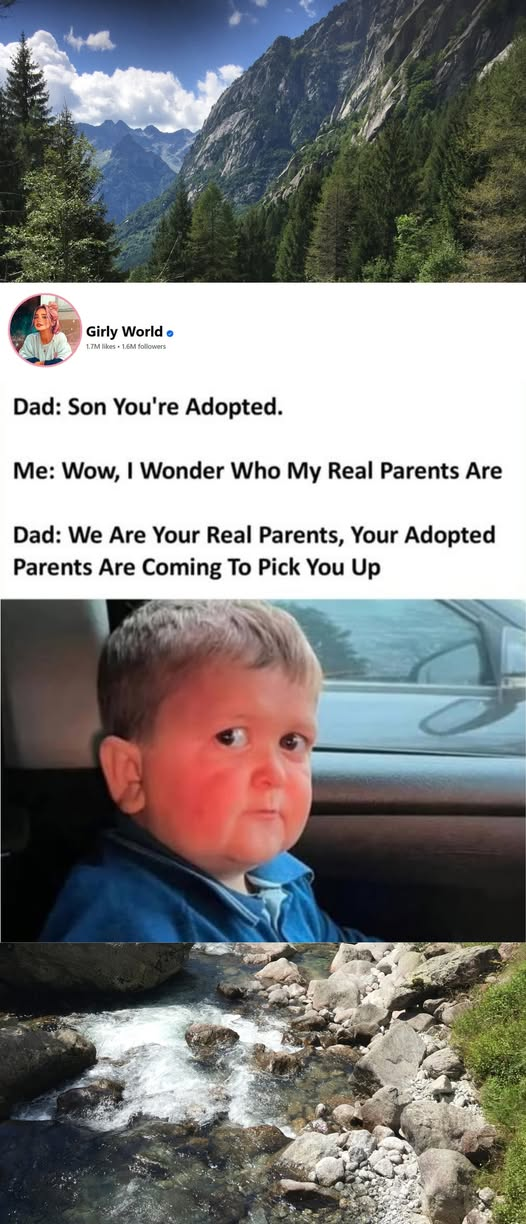 1761151545487.png