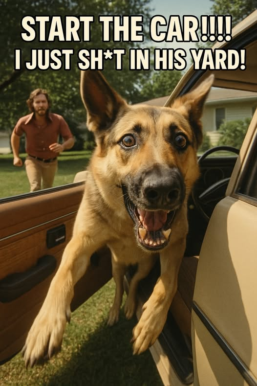 1761232850050.png