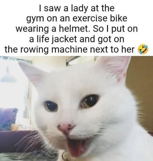 1761344403905.png