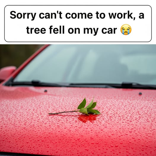 1761344714984.png