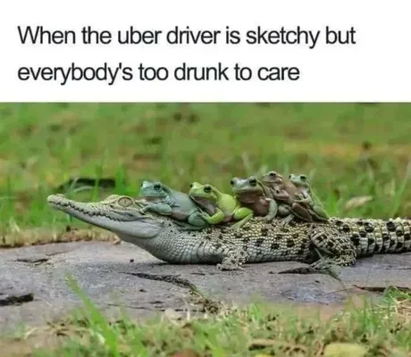 1761401971793.png