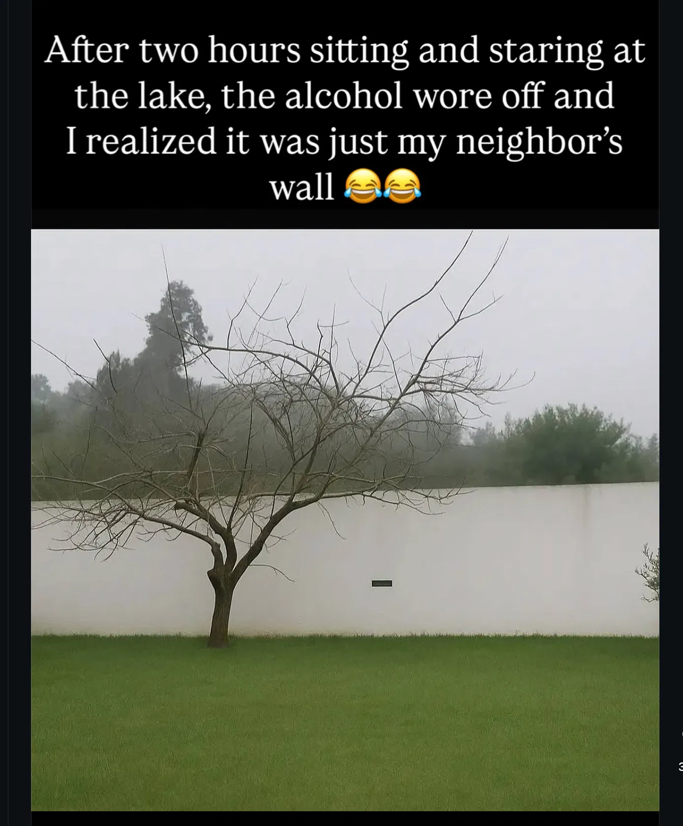 1767047245888.png