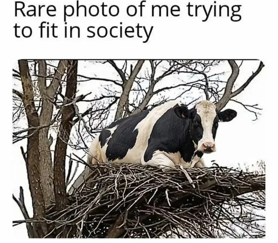 1776462768955.png