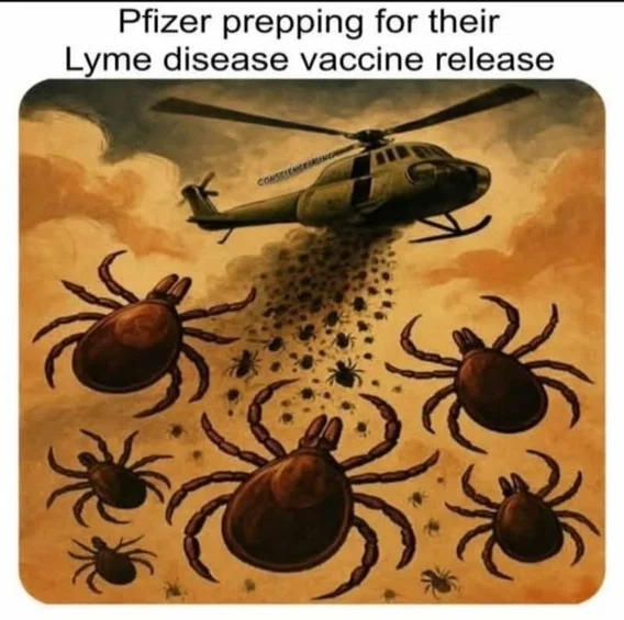 1776530355453.png