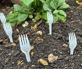 I tried 'lawn forking', the garden hack that makes a lot more ...