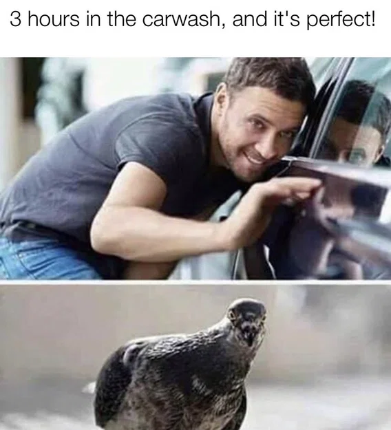 1777676454100.png