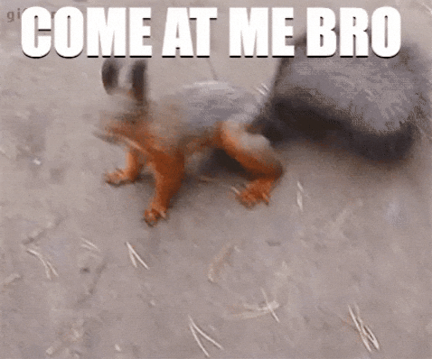 1778286902031.gif