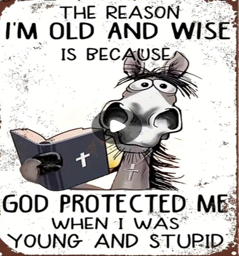 1778867566248.png