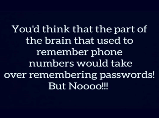 1778867792859.png