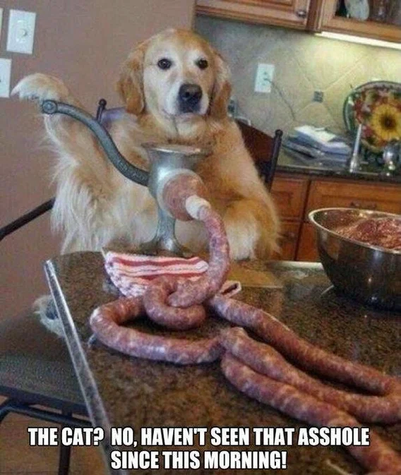 1778887507291.png