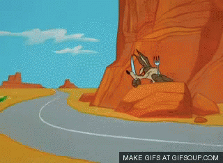 1778956755023.gif