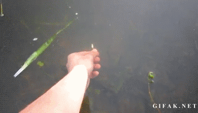 1779220736129.gif