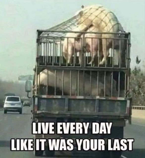 1780098106976.png