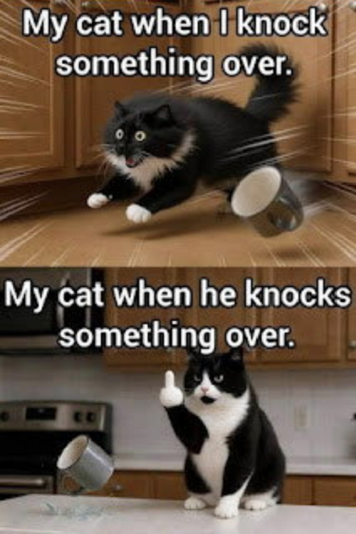 1780466948373.png