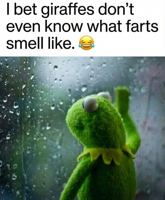 1780654568743.png