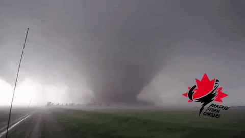 1780756038712.gif