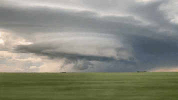 1780756062562.gif