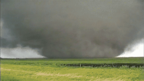 1780756178019.gif