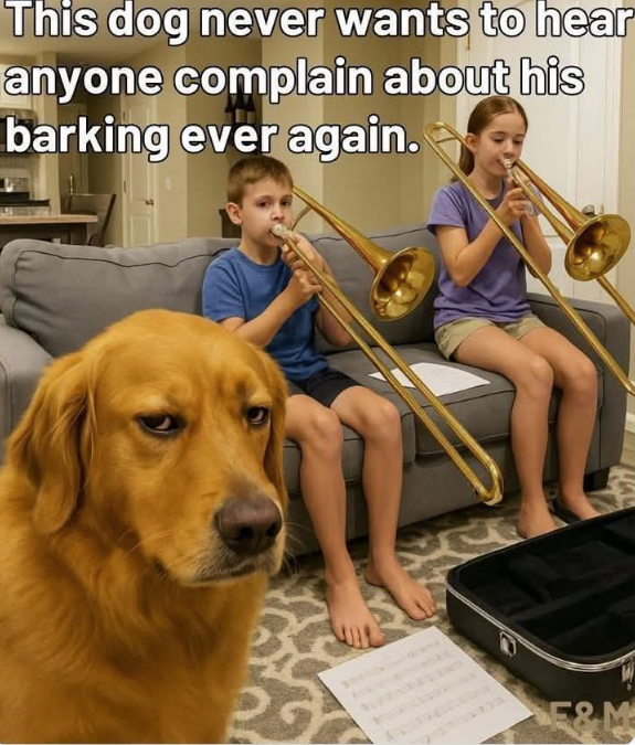 1780766122320.webp