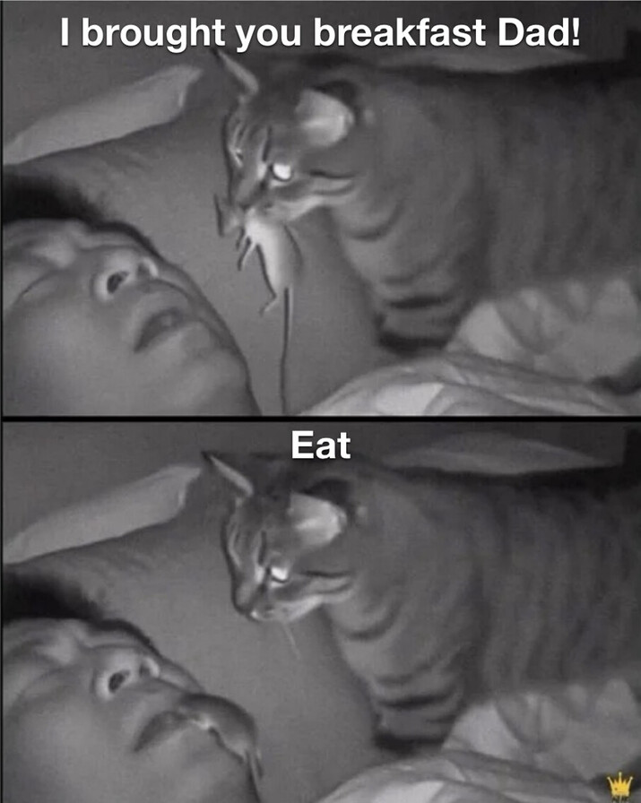 1781075562503.png