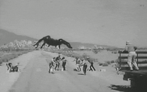 1781098755743.gif