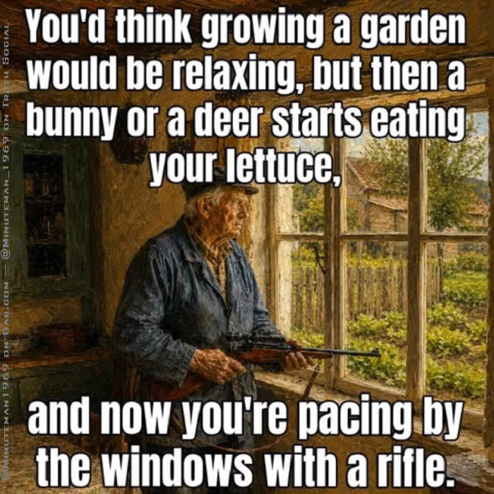1781482810871.png