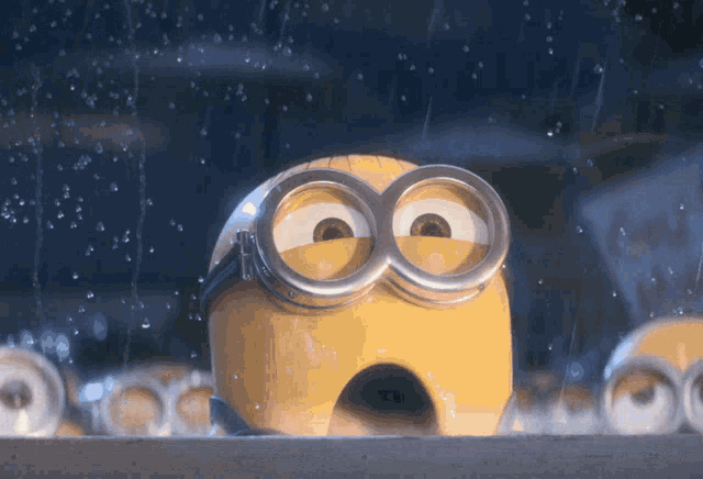 1781919995822.gif