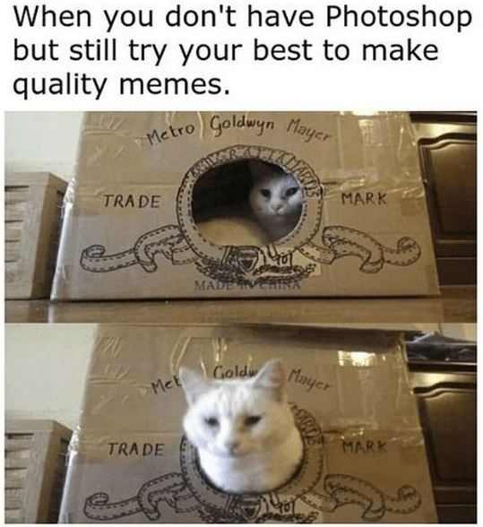 1782510948494.png