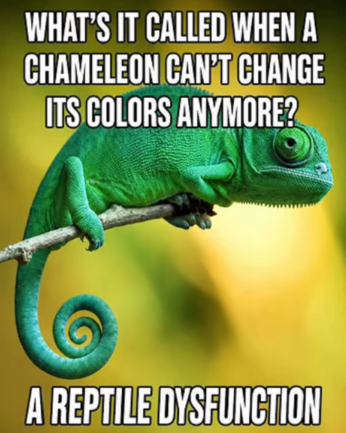 1782851441637.png