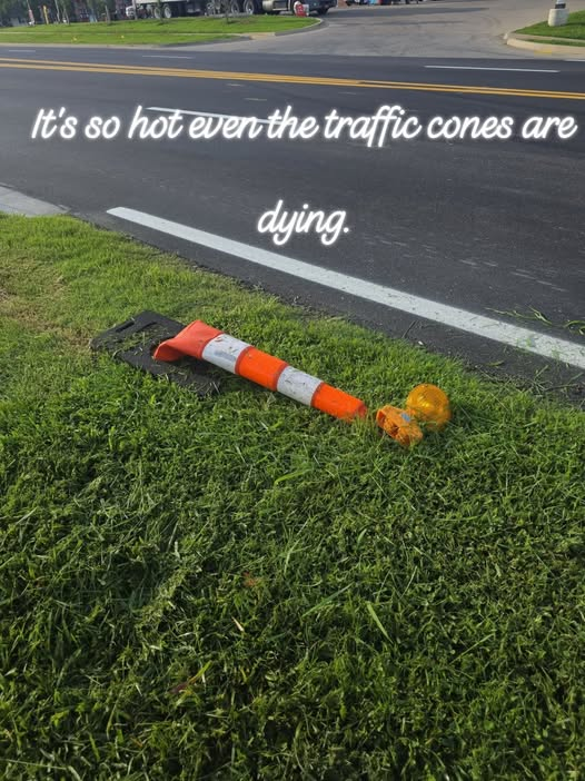 1783005357060.png