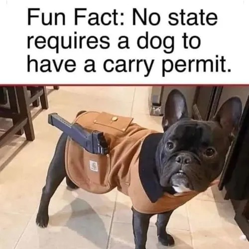 1783047361382.jpeg