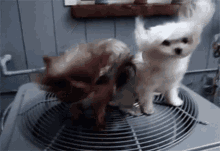 1784067096088.gif