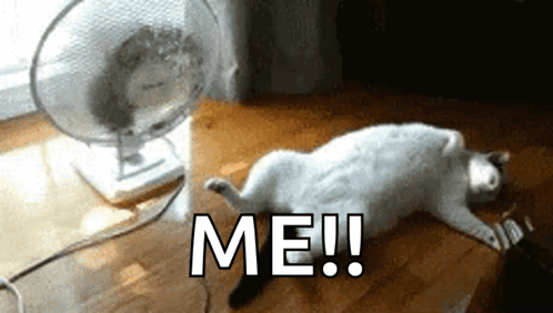 1784067160041.gif