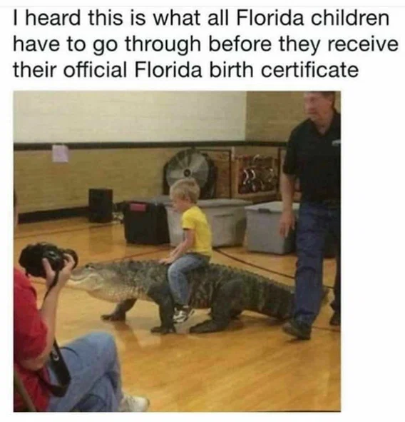1784151759157.png