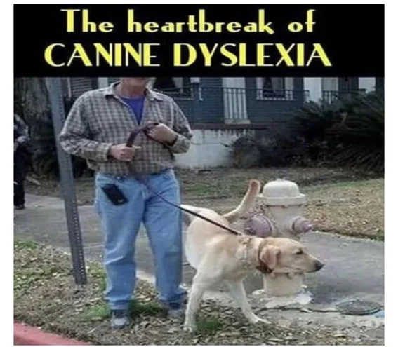 1784195713039.png