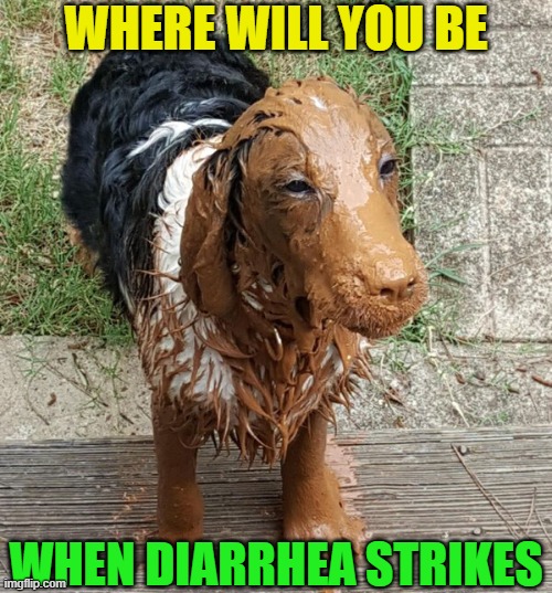 1784300914297.jpeg