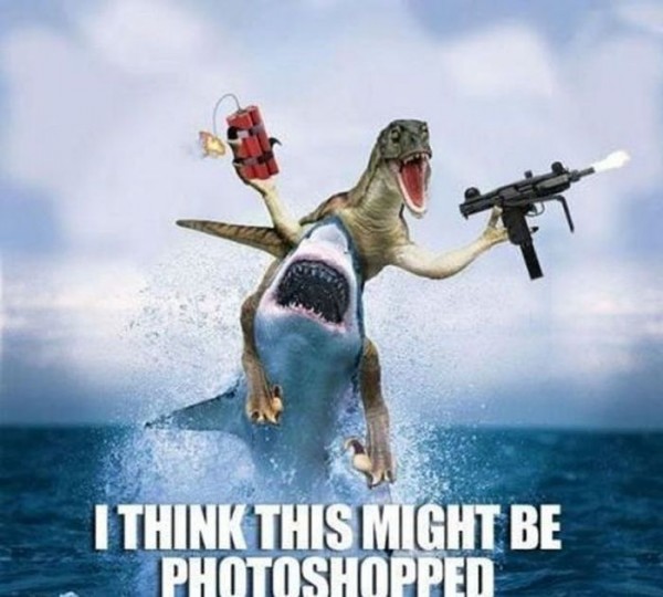 1784754763570.jpeg