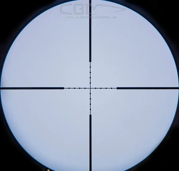 1785299265310.png