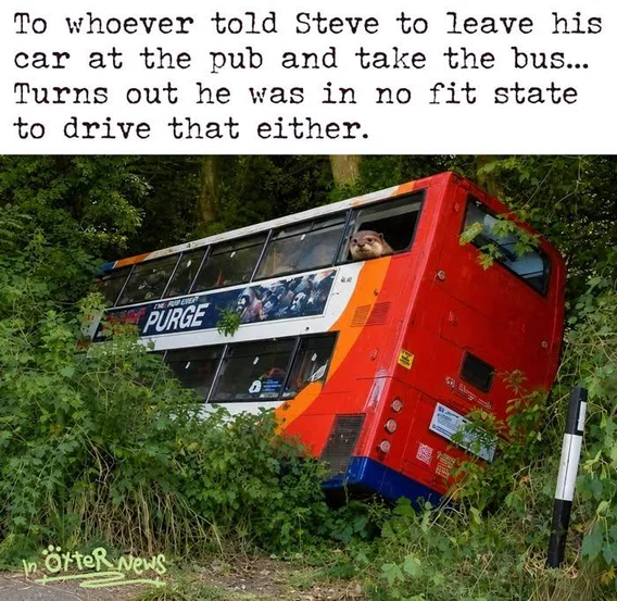 1785360444667.png