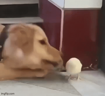 1785494999656.gif