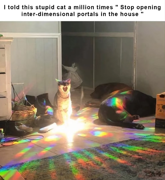1785540818017.png