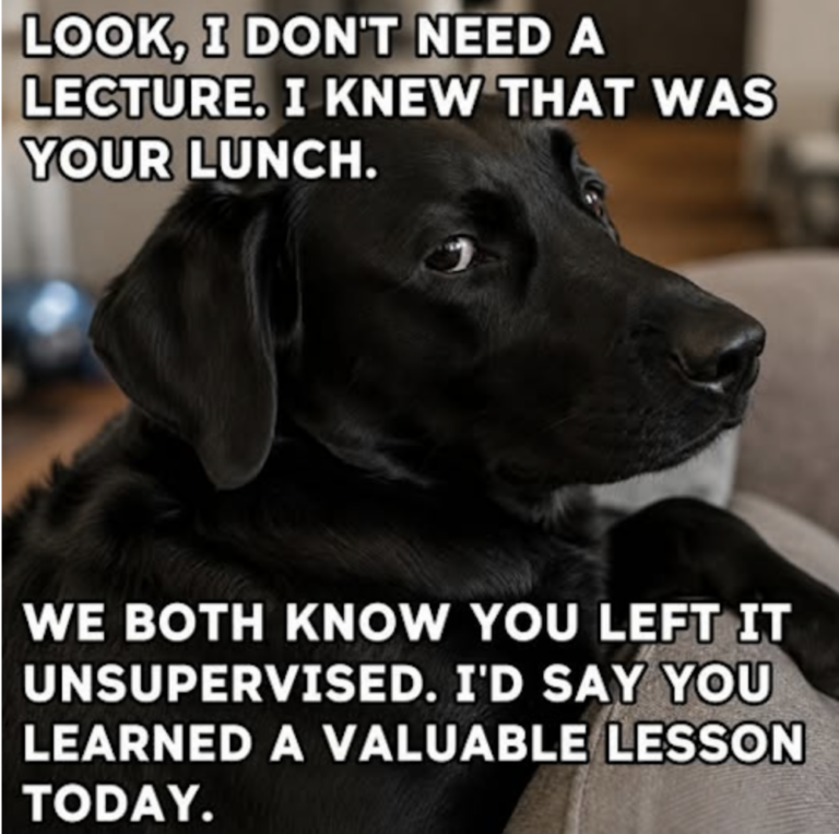 1785689528607.webp