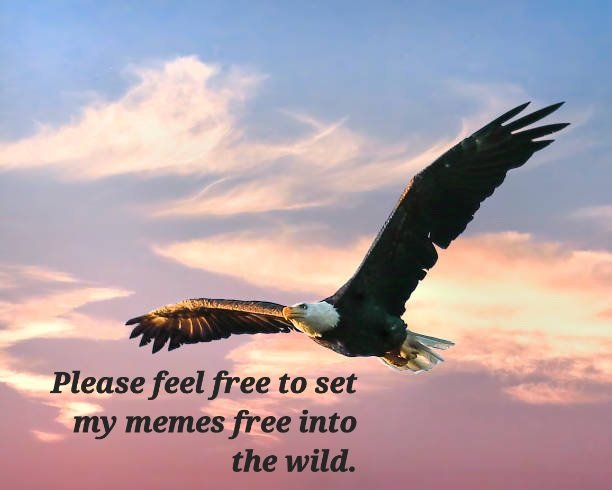 1785843899822.png