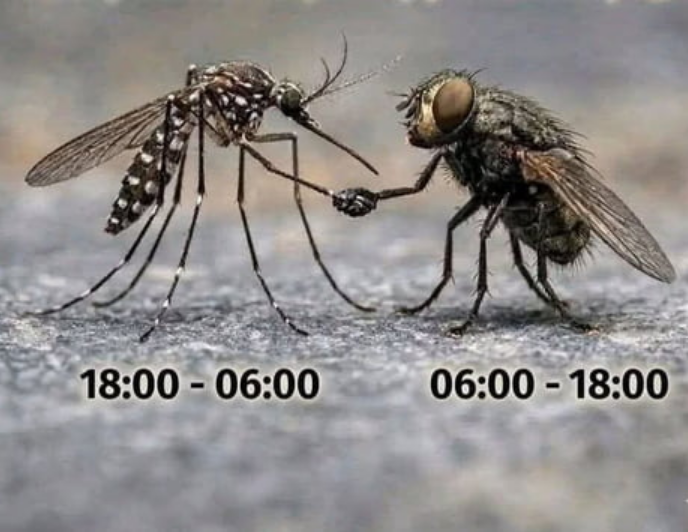 1785892260720.png