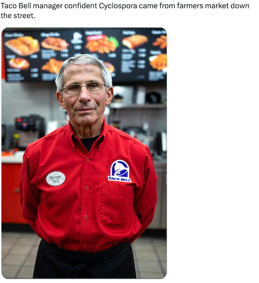 1786293474795.webp