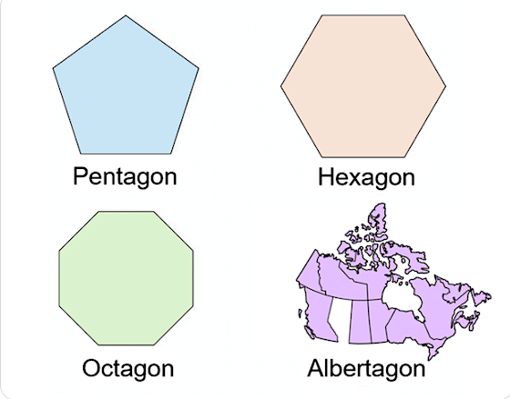 1786293604912.webp