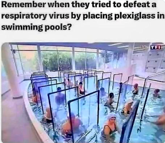 1786293729294.webp