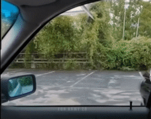 1786300363239.gif
