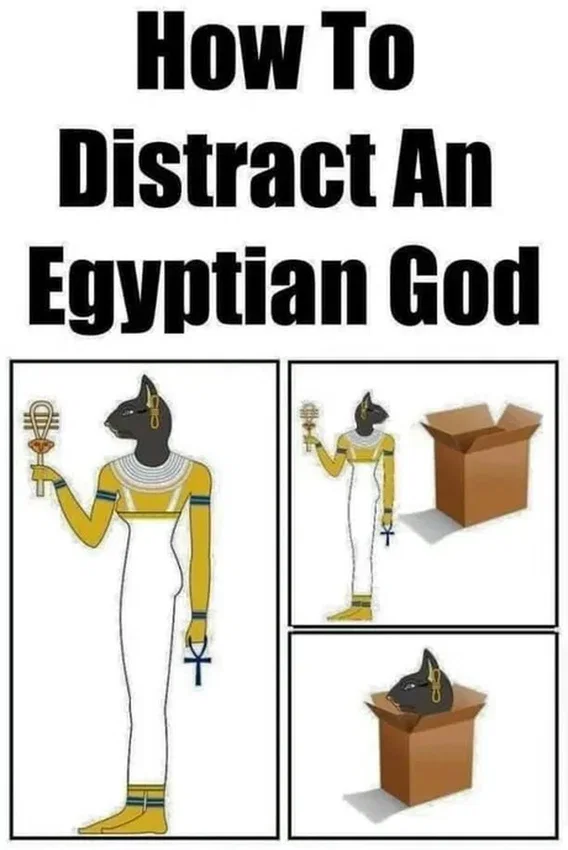 1786401195925.png